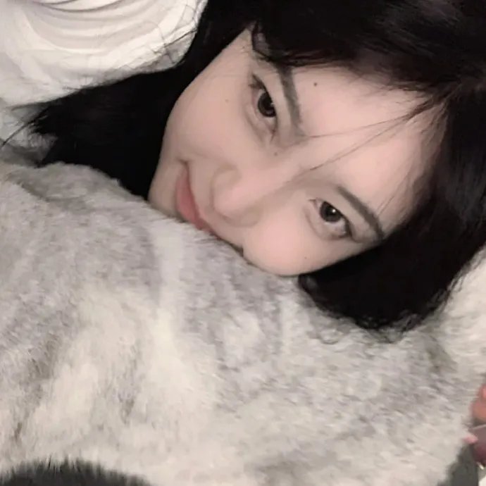 绿衣骑士